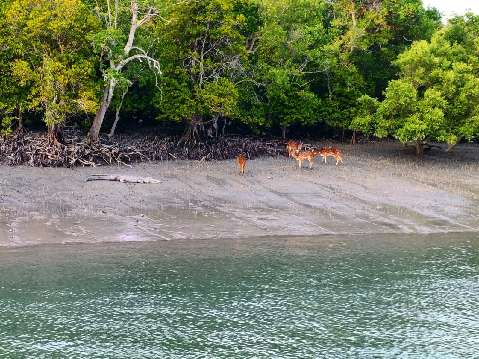 Wildlife Sanctuary